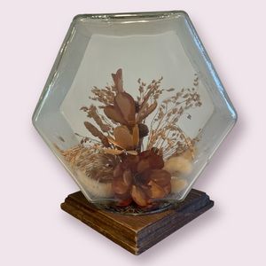 Vintage 1977 Dried Botanical Terrarium Display